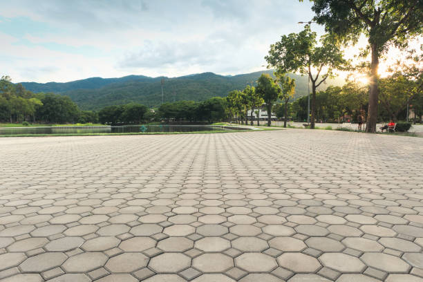Best Best Driveway Pavers  in Evansville, WI